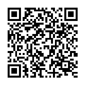 太上长老将他手掌断掉的地方从关节处把多余的都给切除掉了二维码生成