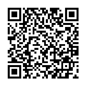 太乙真人脸上那刚刚才绽露的笑意已经再也找不到了二维码生成