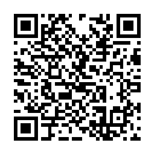 太古神禁的全部防御力量也被这道紫色闪电激发了二维码生成