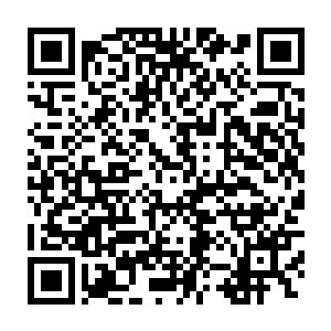 太可怕了想不到天地间真的拥有此等连腐气感染区域都直接灭掉的神器二维码生成