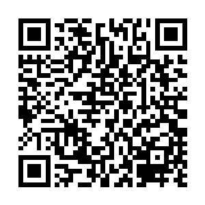 太后当然也免不了旁敲侧击试探寒菲樱肚子到底有没有动静二维码生成