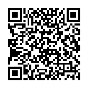 太后说龙腾皇室还从来没有过双生子即将临世的喜讯二维码生成