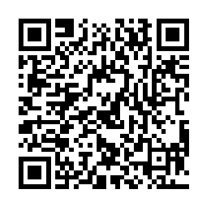 太和真人才将积压在心中无数年对炼器的执着爆出来了二维码生成