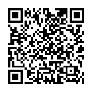 太夏各地建立的飞行学院的总数已经超过三千所二维码生成