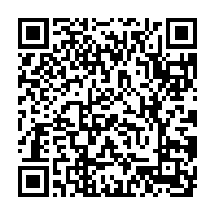 太夏地方和轩辕之丘的格局都会有大的变动――以一己之力完成这一切二维码生成