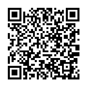 太夏的廷尉卿李云基知道金乌堂和铁龙宗不好惹二维码生成