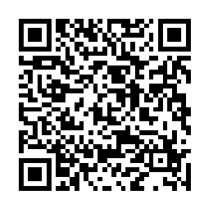 太夏的廷尉府和吞党都被卷入到了福海城惨案之中二维码生成