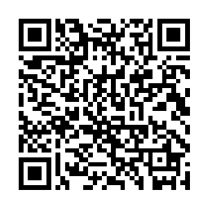 太夏皇室的一干重要人物和长缨太子的一干家属儿女二维码生成