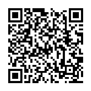 太夏镇守掖州的刺史和车骑将军两个大地骑士战死二维码生成