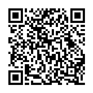 太太才不甘心让她嫁到宋家那样气象衰微的人家二维码生成