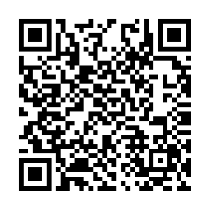 太子哥哥根本就不会再让白硫亦和她退婚娶了自己二维码生成