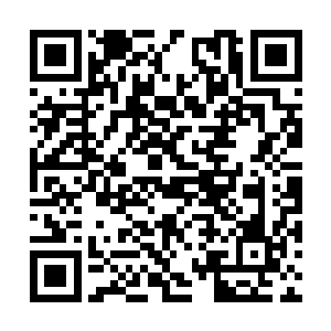 太子宫的女佣跟家丁全都在华丽的别墅前一字排开二维码生成