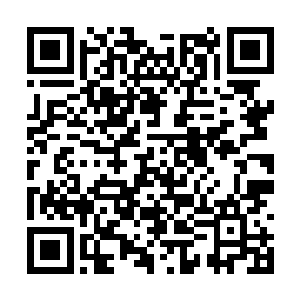 太子将秋意瑟和白芷璃带到了祭台四周的高台之上二维码生成