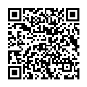 太子早已吩咐禁卫军在宫墙暗处布下了无数弓箭手二维码生成