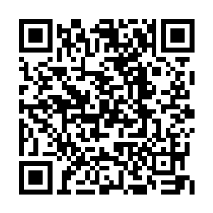 太子殿下能这么快找到这么多罪证……这种实力二维码生成