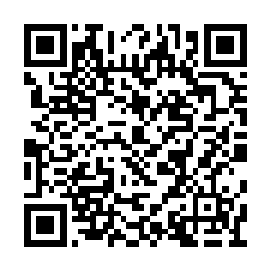 太子自然第一时间得到了汇报林铭情况的传音符二维码生成