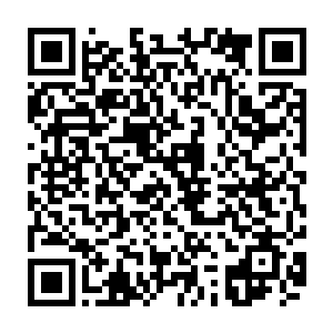 太残忍了……至于以前她是怎么完成村长大人发布的那些抓野兔子的任务二维码生成