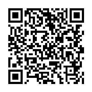 太玄宗和华阳宗的一些真传弟子更是祭出了符宝二维码生成