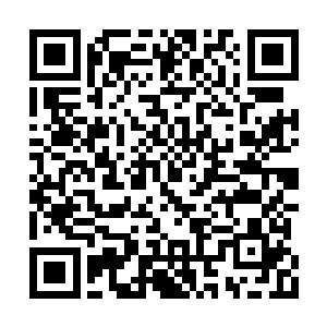 太玄宗就将华阳宗和神机宗的所有弟子全部杀光二维码生成