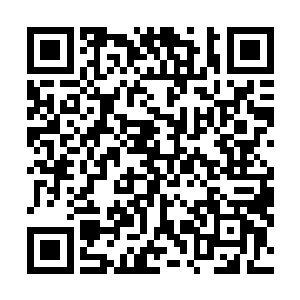 太玄宗的几个人依旧是被压制的几乎没有一点的还手之力二维码生成