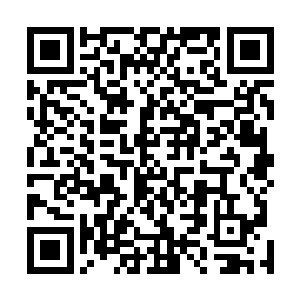 太离背后仿佛尾羽盛开般的赤青黄白黑五色光华同时洒出二维码生成