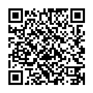 太管用了……足足抽出来整整一百斤肥油啊……真是神药啊……二维码生成