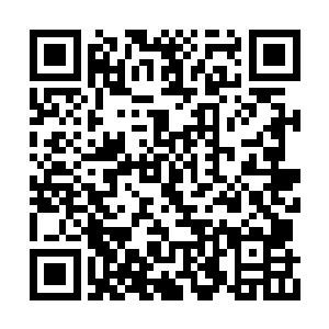 太虚兄弟和邪安山都已经支撑不了被传送了出去二维码生成