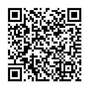 太虚宗如今绝大部分的弟子都是天仙期以下的修为二维码生成