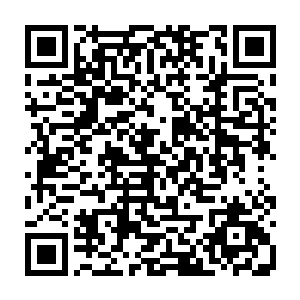 太需要新生的婴儿了……整个社会都在以热情的目光迎接着每一对新婚夫妇二维码生成