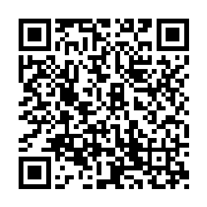 夫人不是让这几个丫鬟多多提点我明日的事儿么二维码生成