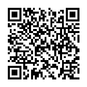 夫人她……和聂张分支的人一去霞落山采篷馨雪莲二维码生成