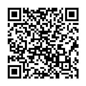 夫人葛氏为了他的病请了不少大夫都瞧不出个究竟来二维码生成