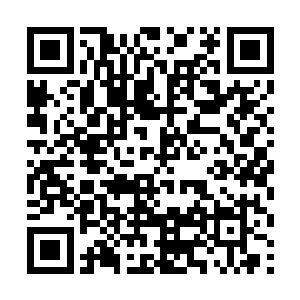 夫人要保证自己生下的孩子将来得到这个世袭的地位二维码生成