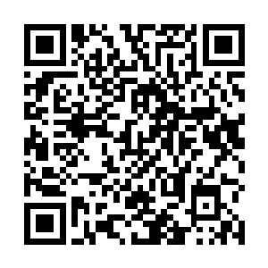 夫人让你的人从现在开始接管城堡外堡城门塔楼的防御二维码生成