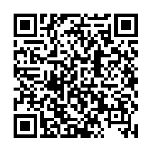 夭华一直将这个小奶娃留在了自己暂时住的新寝宫中二维码生成