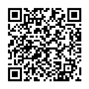 夭华反手将明郁扣住她手腕与输内力给她的手推了回去二维码生成