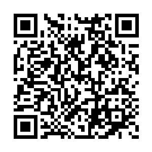 夭华在这个时间点上正好离开这里一段时间也好二维码生成
