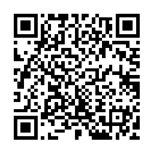 夭华意外从追杀的那些人那里得知他们同时在追杀那个白衣男人二维码生成