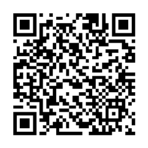 夭华扶上乌云下颚的手随即沿着乌云的身体一路往下滑二维码生成