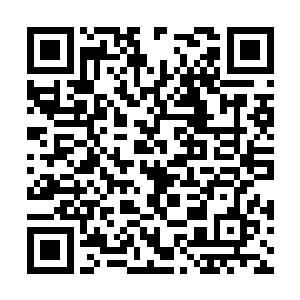 夭华面无表情地命外面的东泽再送一副新碗筷进来二维码生成