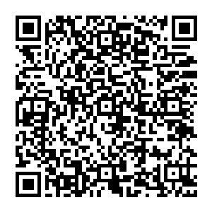 夭灰司昧簦伊┬值芤哺霉Τ缮硗恕D敲椿骨胛甯绾蒙V兀朔蟪だ衔司饶悖墒嵌昧瞬簧俟Ψ颉5艋褂邢乱换氐幕埃峙隆二维码生成