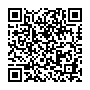 失去了前肢保护的红蜘蛛只能徒劳地试图用口器去刺马文二维码生成