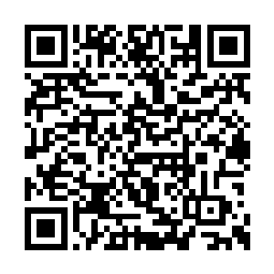 失去耐心的楚瑞达最后试探性地问道股份的问题二维码生成