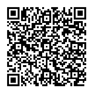 失去自己身上的十枚仙树果仙树果新人一号礼包中那十枚绿色的漏斗形果子金峰巢壳褐色二维码生成