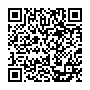 失落之殿似乎和邪恶的五色龙神哈特森有着密不可分的关系二维码生成