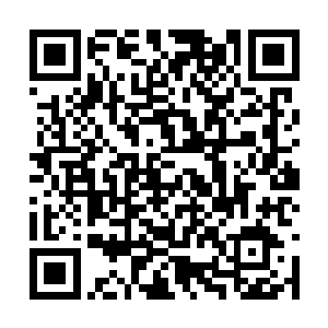 头发花白的龙幽从窗户边看了一眼拍卖台上的动静二维码生成