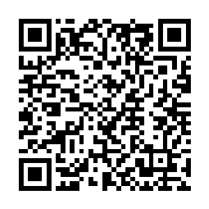 头发长长的那个安排人给我准备了一包现金和信用卡二维码生成