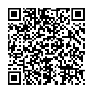 头狗黄一一的愉悦并没有太久就被嗅觉最为灵敏的探路狗子打断了二维码生成