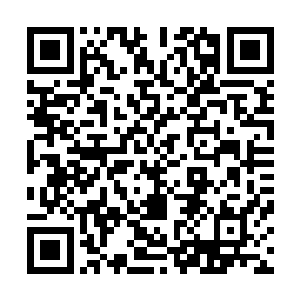 头目和那名被治疗好的曾最强战士一起看向那名小穿沙甲人二维码生成