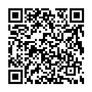 头顶一只硕大的苍鹰正在从高高的天穹向下扎来二维码生成